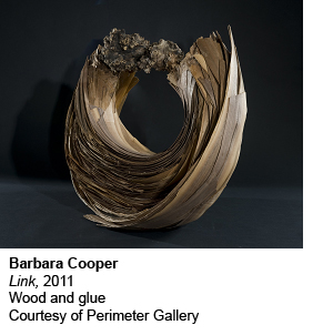 Image from Meet the Artist: Barbara Cooper