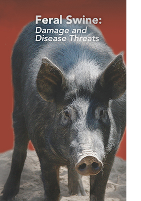 Image from Brownbag Lectures: Integrated Feral Swine Damage Management in Illinois