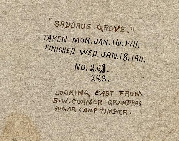 Sadorus Grove (reverse)