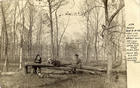 Four Men on Logs Postcard