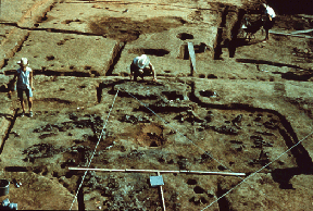 Eveland Site Excavation