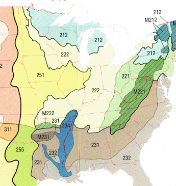 Forest ecoregions