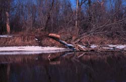 Illinois River