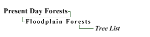 Floodplain Forests:Tree List