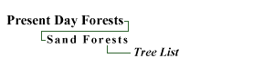 Sand Forests: Tree List