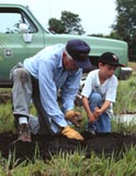 Old man and boy planting, Midewin NTP