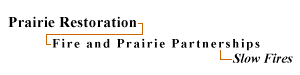 Prairie Restoration:Fire and Prairie Partnerships:Slow Fires