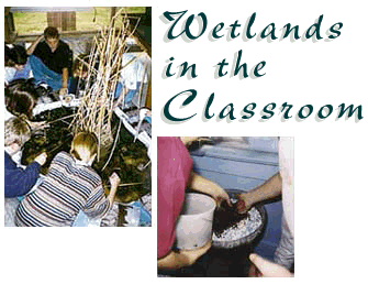 - Wetlands in the Classroom - 