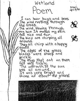 - Wetland Poem (Washington) -