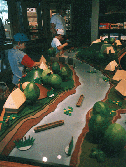 Discovery Center Playscape