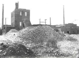 mounds of mussel shells