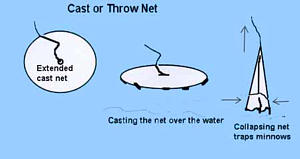 HOW TO THROW A CAST NET AND CATCH FISH 