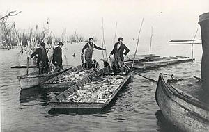 Seine Haul on Peoria Lake, 1927