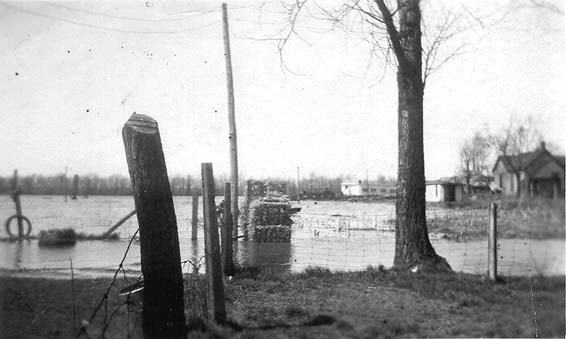 <B>High Water</B> encroaching on a farm near Beardstown, Illinois (undated)