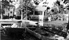 <B>Gun Club surrounded</B><BR>Among the buildings surrounded by water in the flood, now receding, was the Treadway Rod and Gun Club quarters where Kenneth Bowman and family resided near Phelps Ditch in the Sangamon Valley. A horse took refuge on the small space of dry ground shown in this picture by Kenneth DeSollar.