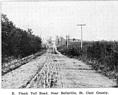 <B>Remains of a Plank Road </B>near Belleville, Illinois in St. Clair County. The photograph shows the parallel planks, which were laid across the one-lane roadbed.