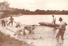 Seine Haul near Beardstown, early  1900s