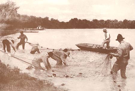 <b>Seine Haul near Beardstown, early  1900s</b>