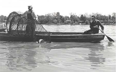 <b>Pulling a Hoop Net</b>, May 19, 1967.