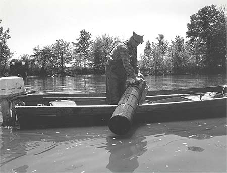 <b>Pulling in a Basket Trap</b>, May 19, 1967.