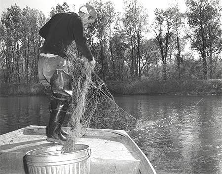 <b>Setting a Trammel Net</b>, April 20, 1967.