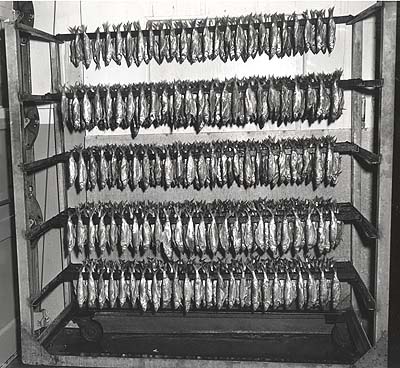 <b>Racks of Smoked Shad</b>, April 3, 1963.