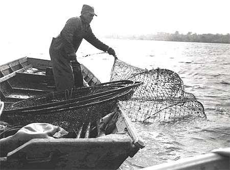 <b>Large Hoop Nets</b>, April 21, 1963.