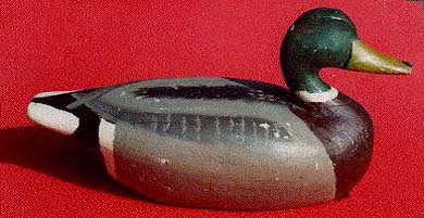 <b>Mallard Drake Decoy</b>, oversize, circa 1920.<br>Perry Wilcoxen (1962-1924), Liverpool, Illinois.<br>Gift of Jim Slack (94.8)<br>Lakeview Museum of Arts and Sciences Collection, Peoria, Illinois.