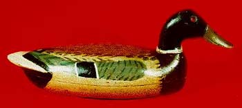 <b>Mallard Drake Decoy</b>, circa 1940.<br>Roy Hancock (1888-1964), Bath, Illinois.<br>Gift of David Connor (96.9a)<br>Lakeview Museum of Arts and Sciences Collection, Peoria, Illinois.