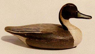 <b>Pintail Drake Decoy</b>, circa 1915<br>Perry Wilcoxen (1862-1924), Liverpool, Illinois<br>Museum purchase 1999.5<br>Lakeview Museum of Arts and Sciences Collection, Peoria, Illinois.