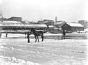 <B>Cutting Ice in Quincy Bay, 1900</B><BR>In the foreground the grid lines cut by the horse-drawn plow are clearly visible.