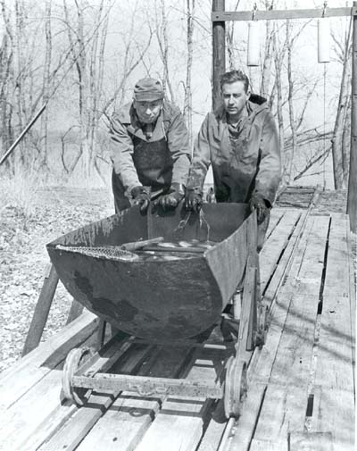 <b>Crappie Removal Program</b>, 1952.