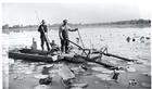 Mowing Lotus, 1941