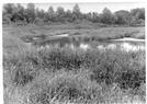 Backwater near Lake Chautauqua, 1940