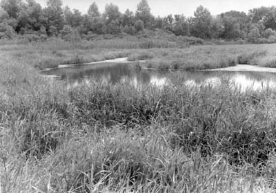 <b>Backwater near Lake Chautauqua, 1940</b>