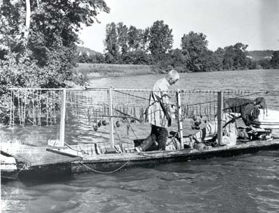 <b>Crowfoot Bar</b>, 1966. <br>Note the small number of mussels pulled up by the crowfoot bar. By the 1960s the mussel population had decreased, and mussels did not reach the large sizes at maturity that were common in the early 1900s.