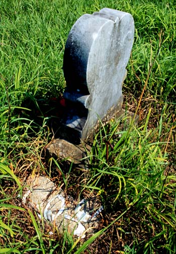 <b>Mussel Shells Decorating a Grave</b><br> In the nineteenth century, a local custom was to place mussel shells on graves for ornamentation and to keep the weeds down.