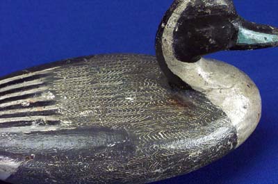 <b>Pintail Drake decoy</b>, closeup to show feathering pattern made with metal combs.