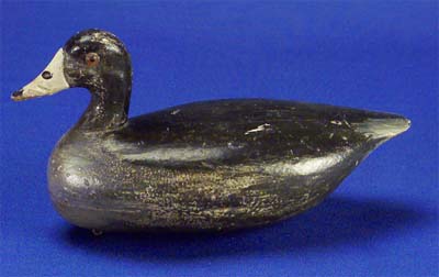 <b>Coot Decoy</b>, no date. <br>Made by Otto Garren, Canton, Illinois. <br>White pine, 10 inches long.<br>Illinois State Museum Collection (1958.77, 798934)<br>Gift of Joseph French, St. Louis, Missouri.<p>Otto Garren (1890-1968) began carving at age sixteen and made almost 5,000 decoys and miniatures in sixty years.  His construction method was to join two hollowed out decoy sections with finishing nails.  He always used high quality glass eyes.  This coot features orange glass eyes and a subtle dark olive breast and underbelly and blackish-olive back.</p><p>Garren hunted over his own decoys in the Liverpool area.  He was one of the most successful Illinois commercial carvers, and one of the few who carved wood ducks in quantity.