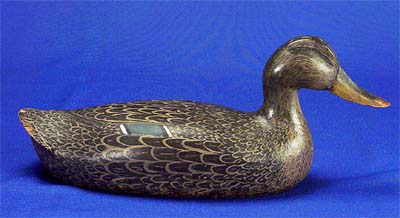 <b>Female Mallard Decoy</b>, circa 1930s. <br> Made by Joseph Rehmer, Momence, Illinois. <br> Wood, Approx. 13 inches long.<br>Illinois State Museum Collection (1967.14, 798953)<br>  Gift of Joseph Rehmer. <p>  Joseph Rehmer (1894- ) and his brother Lawrence (1888- ) made only eighteen mallard decoys for themselves.  They did not live on the Illinois River, but came from Momence, on the Indiana border.  This example of a female mallard carved by an amateur carver shows the realistic detail with which he painted the feather patterns on his two-piece hollow construction decoys with purchased eyes.</p>