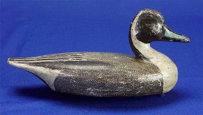 <b>Pintail Drake Decoy</b>, circa 1914.<br>  Made by Richard Wilcoxen, Liverpool, Illinois.<br>  Pine, 10 1/2 inches long.<br>Illinois State Museum Collection (1966.3, 798941) <p>Richard Wilcoxen was the brother of prolific carver Perry Wilcoxen.  Many people said it was difficult to tell the differences in the birds of these two carvers, except that Richard usually painted yellow eyes on his decoys while Perry's often had no eyes in the curved depressions on the head.  This pintail features a stylized feather pattern on the back made with a feathering comb and the Wilcoxen-style prominent chest and arched neck.</p>