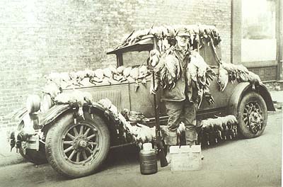 <b>One Weekend's Hunt</b> at Browning, circa early 1900s.  There was no limit on the number of ducks a hunter could take in the early 1900s.