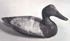 Canvasback Drake Decoy