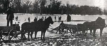 <b>Harvesting Ice from Meredosia Lake</b>, circa early 1900s.  Man on the wagon is Ed Hyatt, Sr.