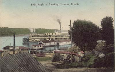 <b>The Bald Eagle Packet and Fish Markets</b> in Havana, Illinois.  Postcard illustration.