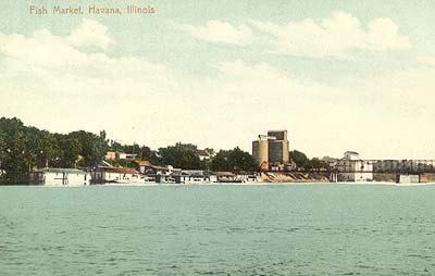 <b>Fish Markets at Havana</b>.  Postcard.