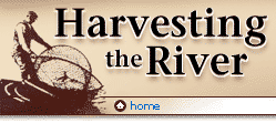 Harvesting the River