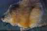 thm_paecon20clr2.jpg
