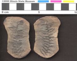 Small image of specimen