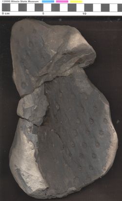 Small image of specimen